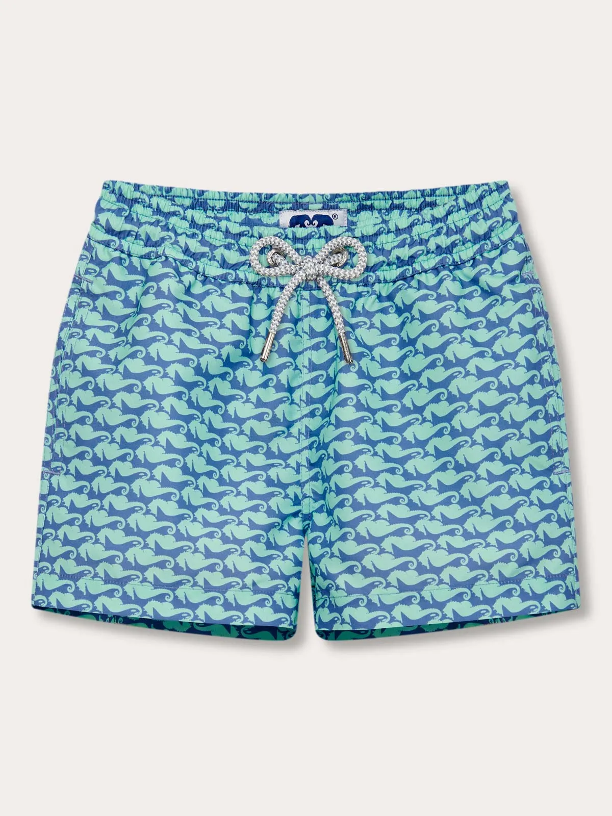 Boys Seahorses and Orcas Staniel Swim Shorts