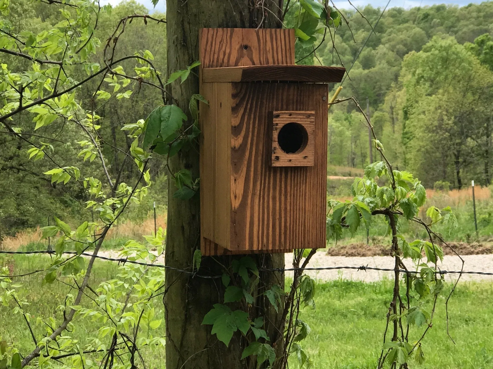 Eastern Blue Bird House Veteran Made