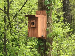 Eastern Blue Bird House Veteran Made