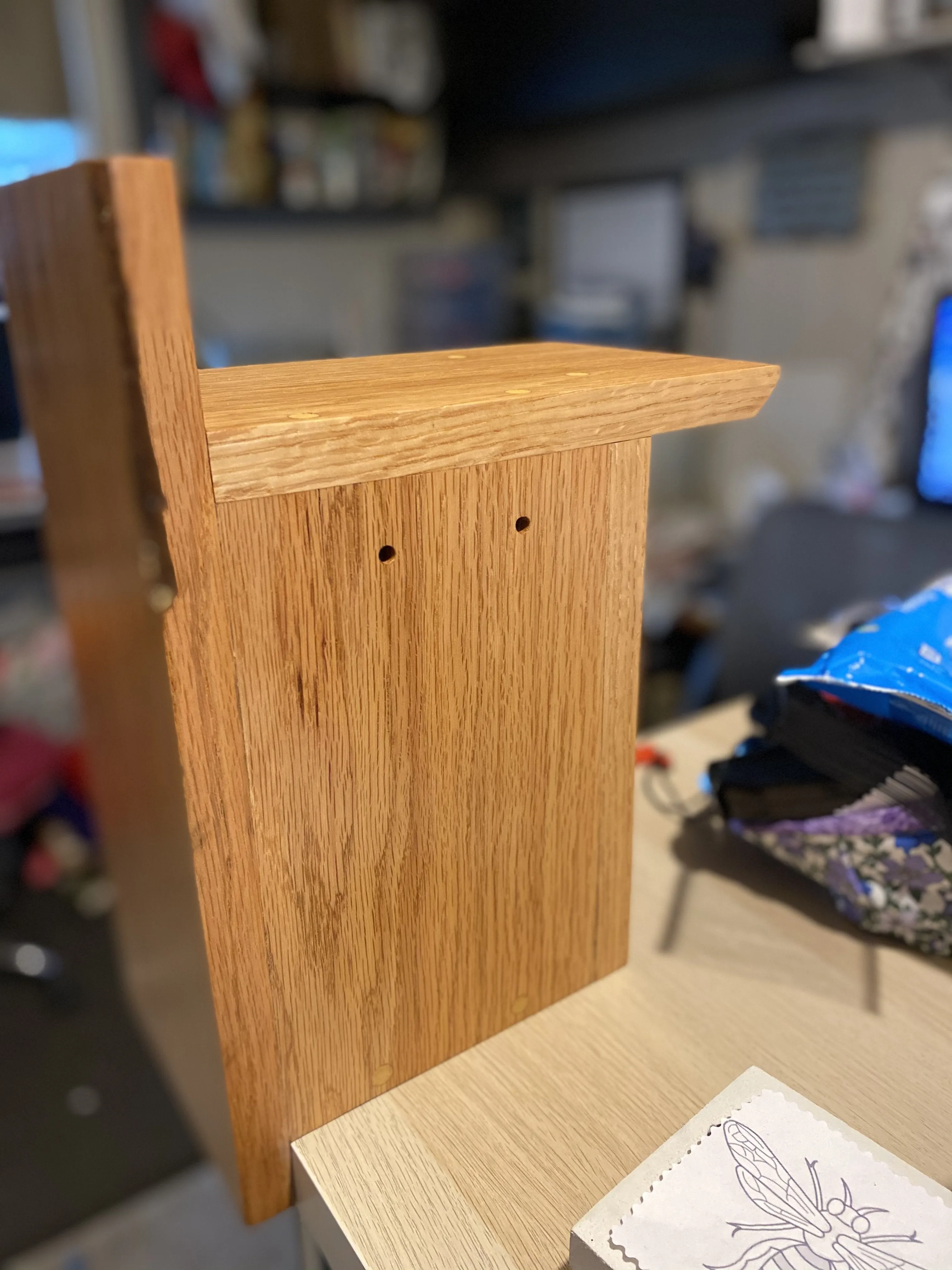Eastern Blue Bird House Veteran Made