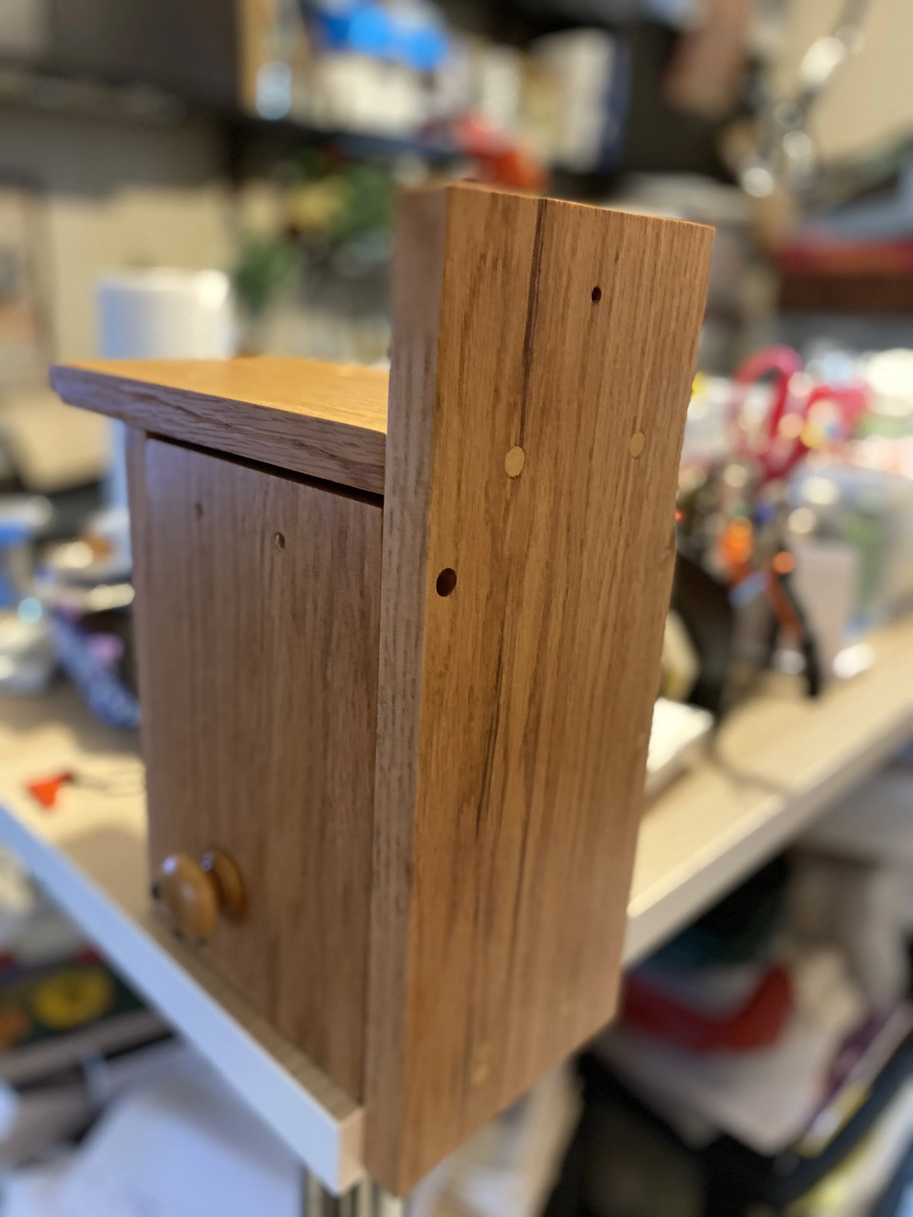 Eastern Blue Bird House Veteran Made