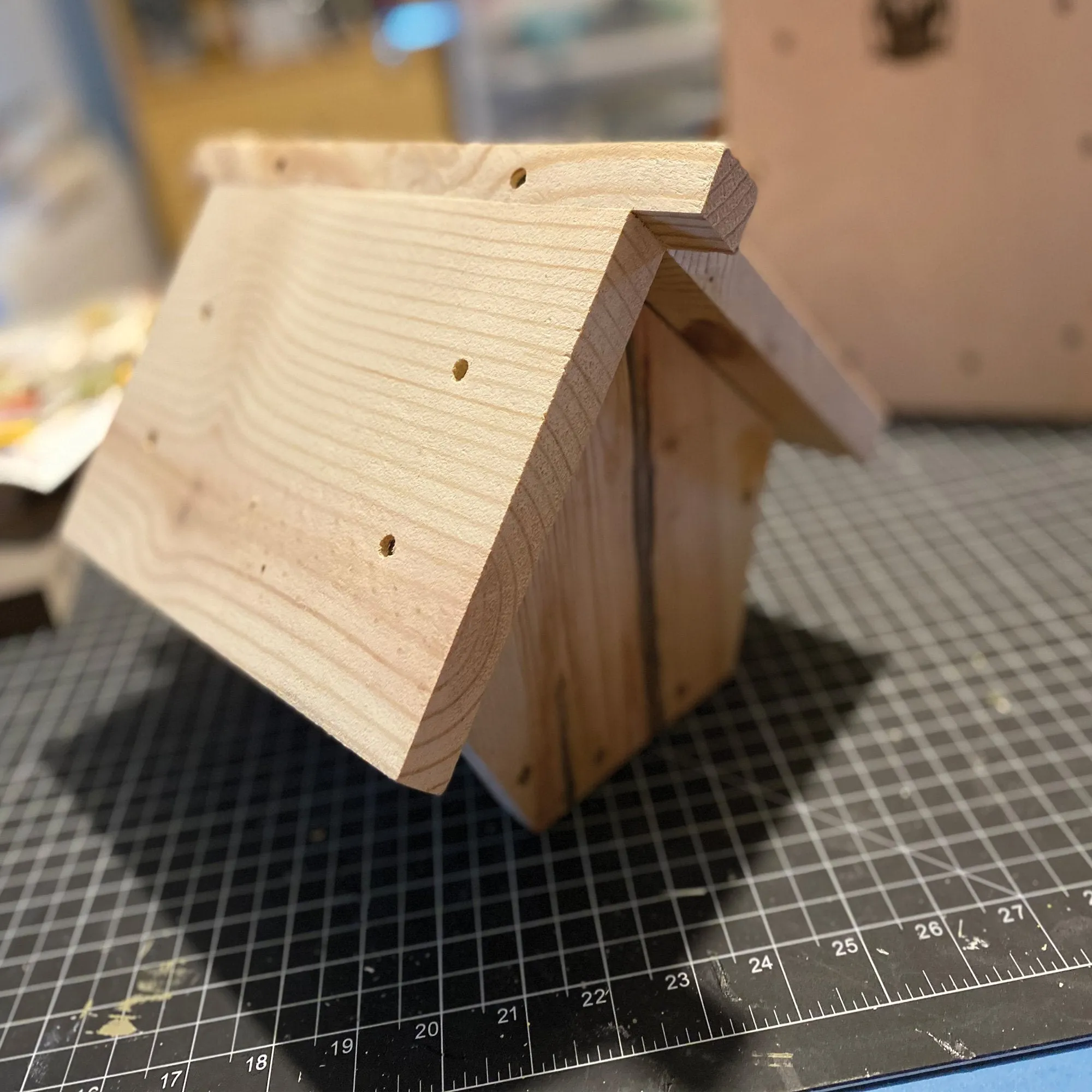 Ready to Paint US Veteran Made Carolina Wren/Chickadee Birdhouse
