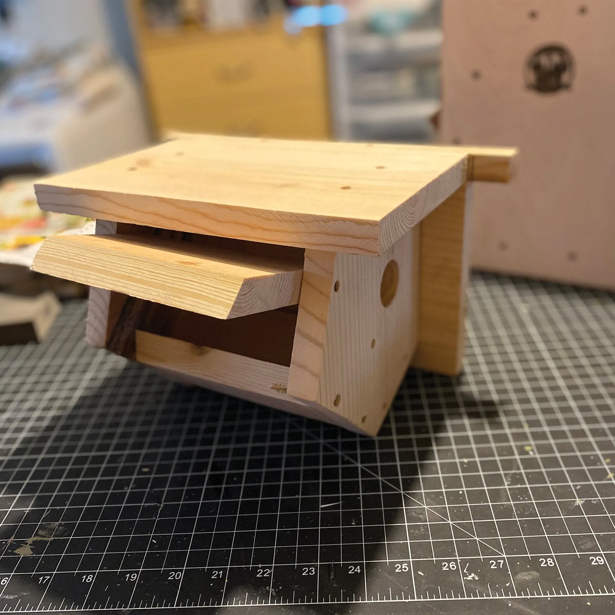 Ready to Paint US Veteran Made Carolina Wren/Chickadee Birdhouse