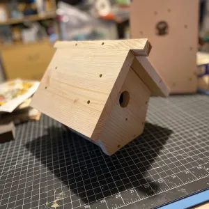 Ready to Paint US Veteran Made Carolina Wren/Chickadee Birdhouse