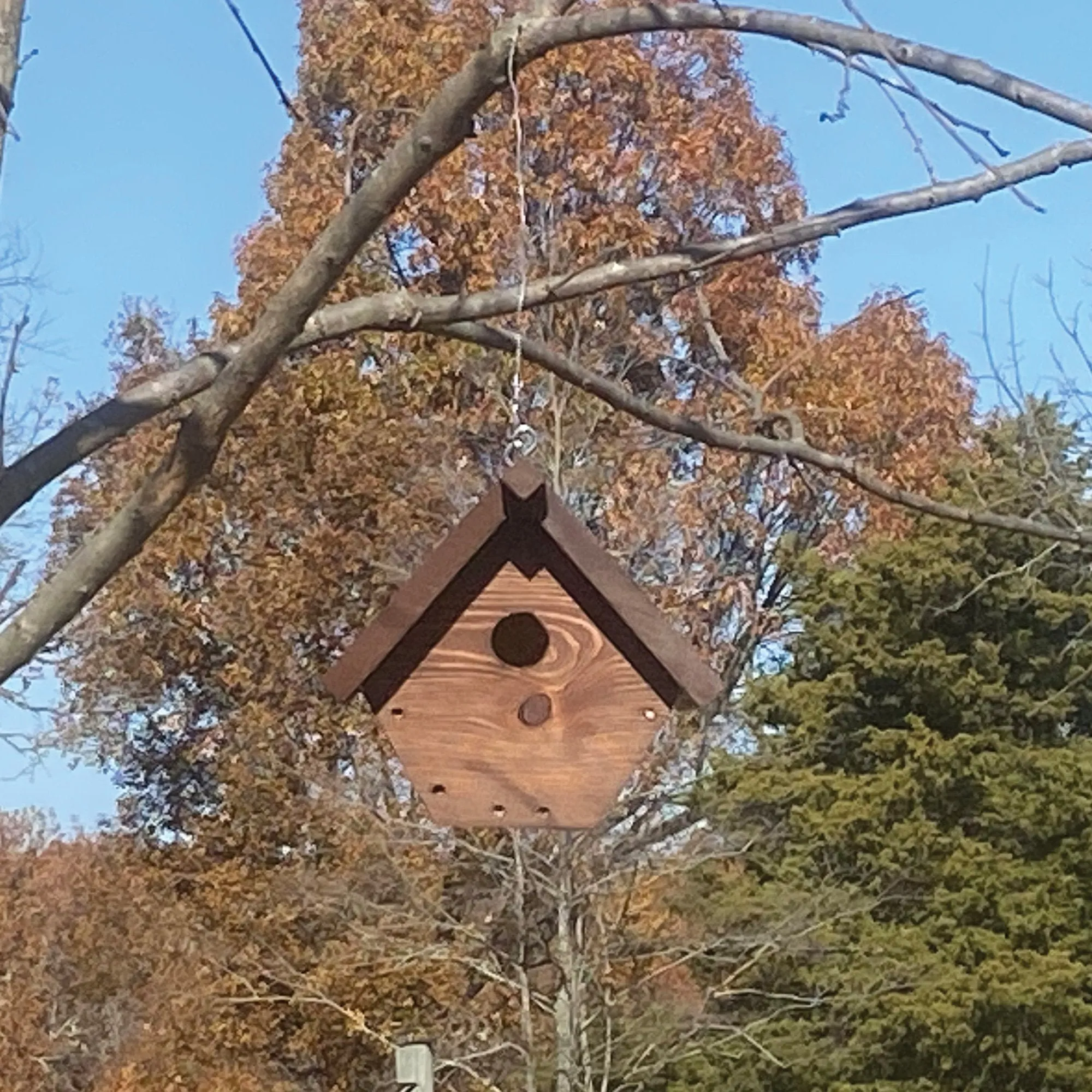 Ready to Paint US Veteran Made Carolina Wren/Chickadee Birdhouse